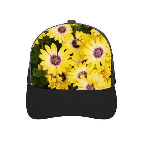 yanfind Adult Bend Rubber Baseball Hollow Out Daisies Flowers Floral Bloom Spring Closeup K Beach,Tourism,Mountaineering,Sports, Parties,Cycling