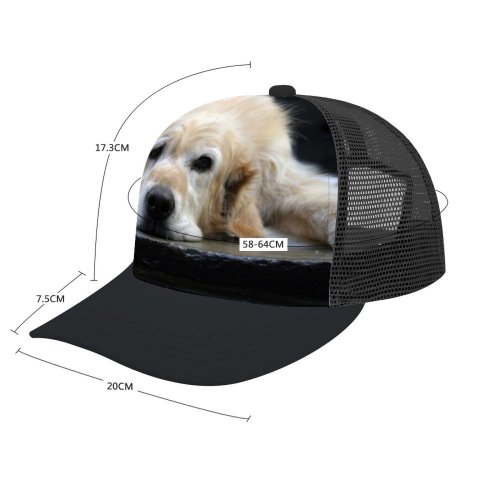 yanfind Adult Bend Rubber Baseball Hollow Out Golden Dogs Dog Vertebrate Canidae Carnivore Sporting Snout Fur Beach,Tourism,Mountaineering,Sports, Parties,Cycling