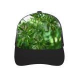 yanfind Adult Bend Rubber Baseball Hollow Out Plants Plant Flower Leaf Flowering Tree Larch Subshrub Parsley Family Heracleum (plant) Beach,Tourism,Mountaineering,Sports, Parties,Cycling