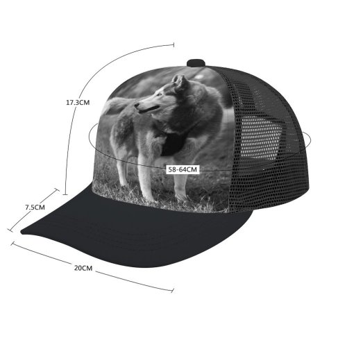yanfind Adult Bend Rubber Baseball Hollow Out Portrait Dog Guard Beach,Tourism,Mountaineering,Sports, Parties,Cycling