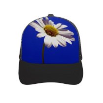 yanfind Adult Bend Rubber Baseball Hollow Out Golden Daisy Flower Sky Flowering Plant Oxeye Petal Mayweed Chamomile Beach,Tourism,Mountaineering,Sports, Parties,Cycling