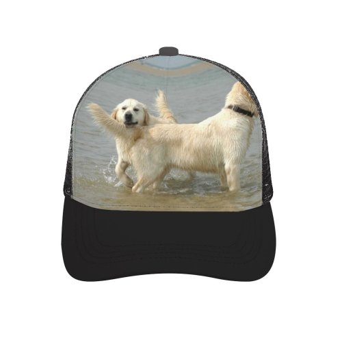 yanfind Adult Bend Rubber Baseball Hollow Out Golden Dog Pet Sea Vertebrate Canidae Polish Tatra Sheepdog Carnivore Maremma Beach,Tourism,Mountaineering,Sports, Parties,Cycling
