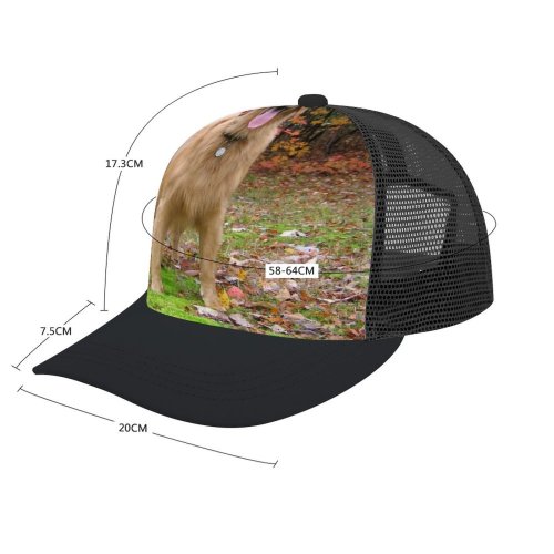 yanfind Adult Bend Rubber Baseball Hollow Out Golden Fall Autumn Dog Play Vertebrate Canidae Carnivore Sporting Tree Beach,Tourism,Mountaineering,Sports, Parties,Cycling
