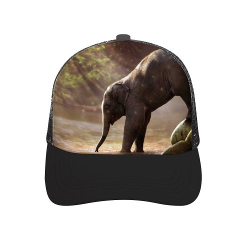 yanfind Adult Bend Rubber Baseball Hollow Out Comfreak Elephant Cub Rocks River Rays Waterhole Daytime Beach,Tourism,Mountaineering,Sports, Parties,Cycling