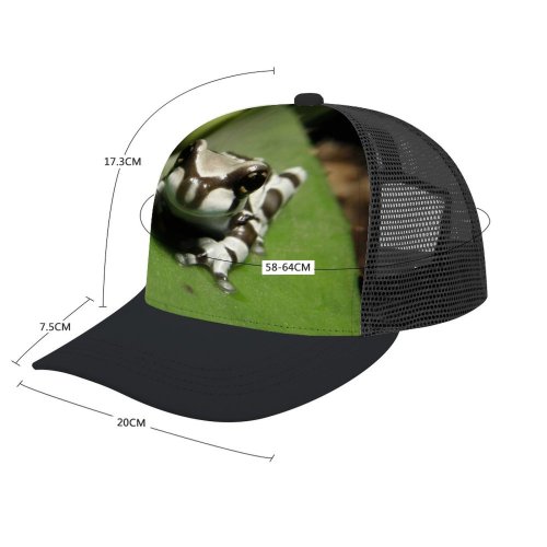 yanfind Adult Bend Rubber Baseball Hollow Out Amazonian Milk Frog Qute Amphibian Stripes Zebra Phrynohyas Resinifictrix Smile Tree Poison Beach,Tourism,Mountaineering,Sports, Parties,Cycling
