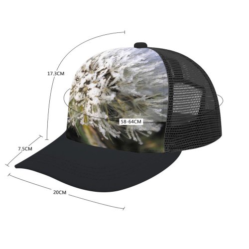 yanfind Adult Bend Rubber Baseball Hollow Out Dandelion Frozen Morning Winter Flower Plant Flowering Frost Wildflower Marsh Tea Beach,Tourism,Mountaineering,Sports, Parties,Cycling