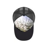 yanfind Adult Bend Rubber Baseball Hollow Out Dandelion Frozen Morning Winter Flower Plant Flowering Frost Wildflower Marsh Tea Beach,Tourism,Mountaineering,Sports, Parties,Cycling