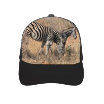 yanfind Adult Bend Rubber Baseball Hollow Out Zebra Wild Game Kruger National Park Africa Safari Terrestrial Wildlife Vertebrate Beach,Tourism,Mountaineering,Sports, Parties,Cycling