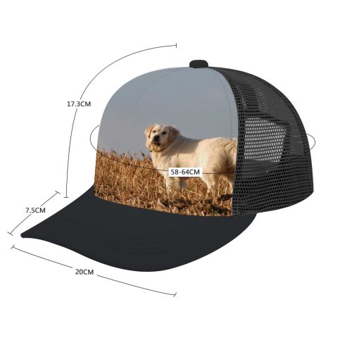 yanfind Adult Bend Rubber Baseball Hollow Out Dog Golden Pet Vertebrate Canidae Maremma Sheepdog Carnivore Akbash Sporting Beach,Tourism,Mountaineering,Sports, Parties,Cycling