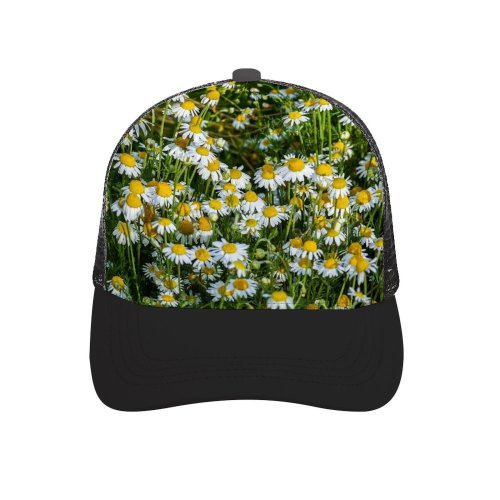 yanfind Adult Bend Rubber Baseball Hollow Out Москва Images Chamomile Ogorod Огород» Сад Flowers Aster Ботанический Plant Asteraceae Garden Beach,Tourism,Mountaineering,Sports, Parties,Cycling