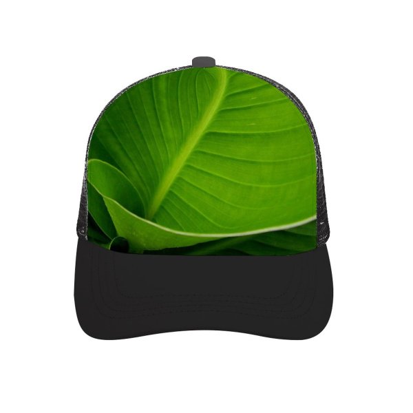 yanfind Adult Bend Rubber Baseball Hollow Out Leaf Blade Flower Banana Plant Terrestrial Botany Ensete Flowering Lily Beach,Tourism,Mountaineering,Sports, Parties,Cycling