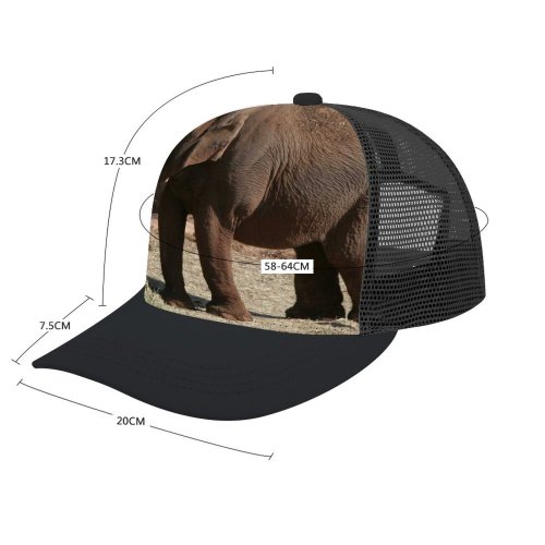 yanfind Adult Bend Rubber Baseball Hollow Out Africa Asian Big Dangerous Elephant Fat Giant Grey Indian Strength Strong Beach,Tourism,Mountaineering,Sports, Parties,Cycling