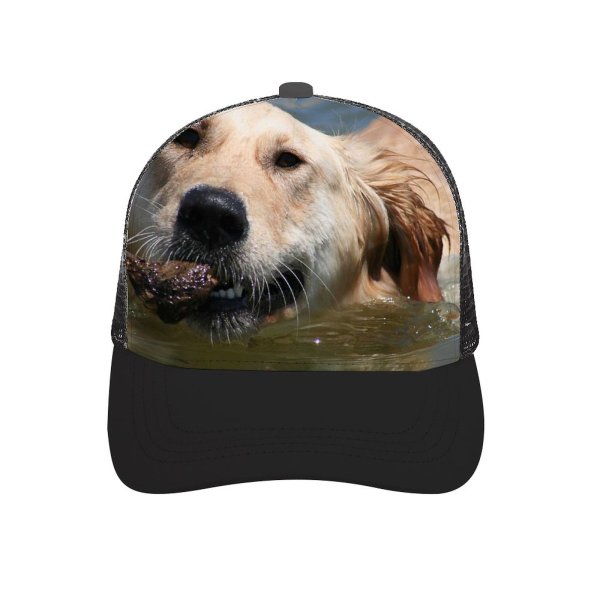 yanfind Adult Bend Rubber Baseball Hollow Out Golden Dog Swim Beach Fetch Pet Vertebrate Canidae Carnivore Sporting Snout Beach,Tourism,Mountaineering,Sports, Parties,Cycling