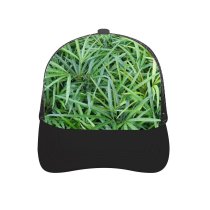 yanfind Adult Bend Rubber Baseball Hollow Out Plant Tree Grass Leaf Flower Terrestrial Family Sweet Flowering Groundcover Hierochloe Beach,Tourism,Mountaineering,Sports, Parties,Cycling