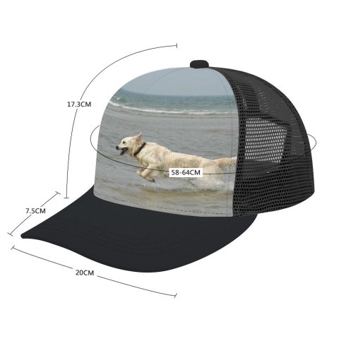 yanfind Adult Bend Rubber Baseball Hollow Out Golden Dog Pet Sea Vertebrate Canidae Carnivore Sporting Beach,Tourism,Mountaineering,Sports, Parties,Cycling