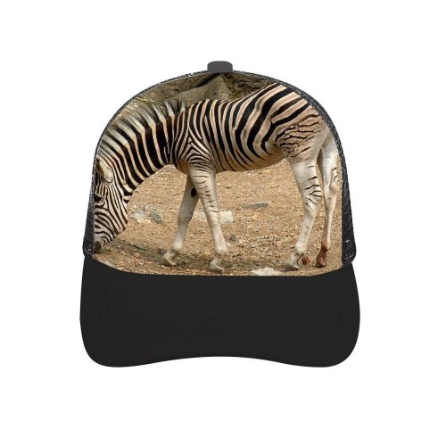 yanfind Adult Bend Rubber Baseball Hollow Out Zebra Stripes Terrestrial Vertebrate Wildlife Snout Organism Adaptation Beach,Tourism,Mountaineering,Sports, Parties,Cycling