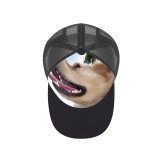 yanfind Adult Bend Rubber Baseball Hollow Out Dog Dogs Golden Vertebrate Canidae Facial Expression Snout Nose Carnivore Beach,Tourism,Mountaineering,Sports, Parties,Cycling
