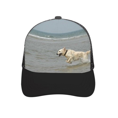yanfind Adult Bend Rubber Baseball Hollow Out Golden Dog Pet Sea Vertebrate Canidae Carnivore Sporting Beach,Tourism,Mountaineering,Sports, Parties,Cycling
