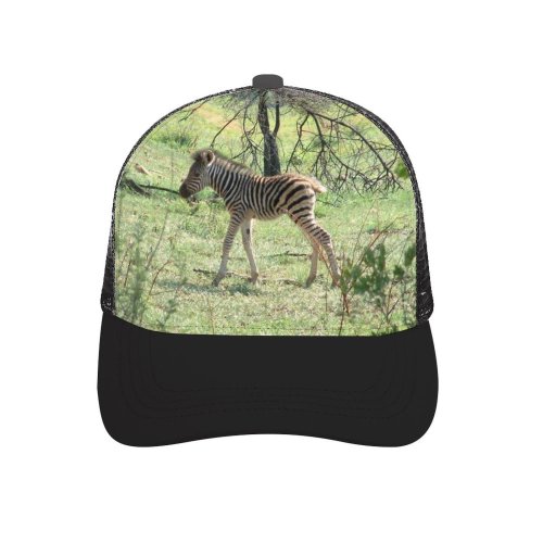 yanfind Adult Bend Rubber Baseball Hollow Out Zebra Wild Safari Game Africa Terrestrial Wildlife Vertebrate Grassland Plant Community Shrubland Beach,Tourism,Mountaineering,Sports, Parties,Cycling