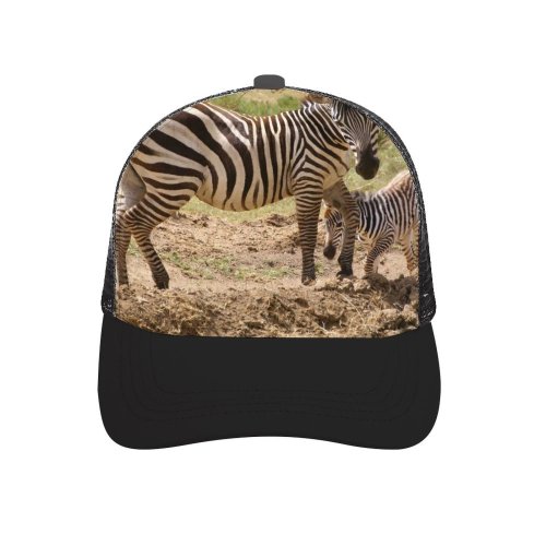 yanfind Adult Bend Rubber Baseball Hollow Out Africa Kenya Park Zebra Child Mother Terrestrial Wildlife Vertebrate Grassland Snout Savanna Beach,Tourism,Mountaineering,Sports, Parties,Cycling