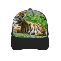 yanfind Adult Bend Rubber Baseball Hollow Out Sumatran Big Cat Wild Grass Stare Carnivore Beach,Tourism,Mountaineering,Sports, Parties,Cycling