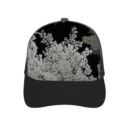 yanfind Adult Bend Rubber Baseball Hollow Out Branch Grey Leave Night Leaf Organism Plant Tree Flower Frost Beach,Tourism,Mountaineering,Sports, Parties,Cycling