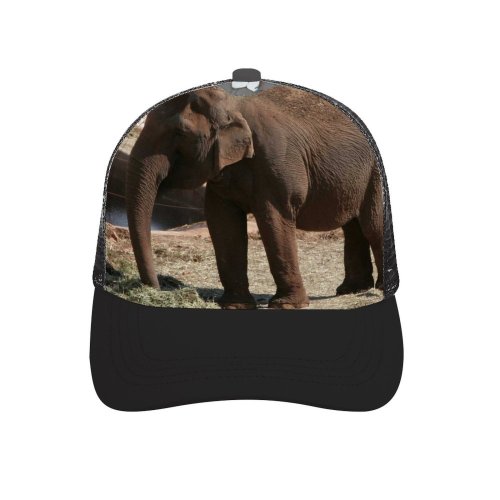 yanfind Adult Bend Rubber Baseball Hollow Out Africa Asian Big Dangerous Elephant Fat Giant Grey Indian Strength Strong Beach,Tourism,Mountaineering,Sports, Parties,Cycling