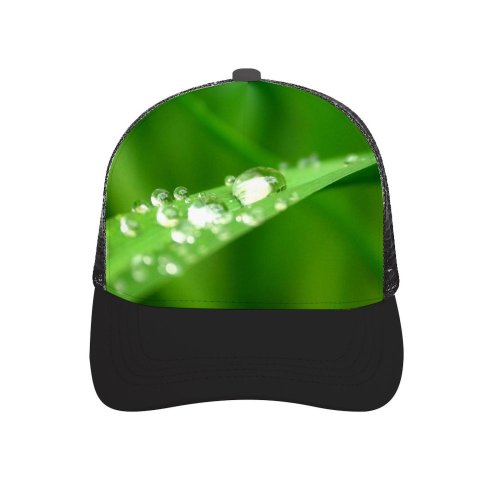 yanfind Adult Bend Rubber Baseball Hollow Out Raindrop Drop Leaf Reflection Dew Moisture Macro Grass Beach,Tourism,Mountaineering,Sports, Parties,Cycling