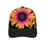 yanfind Adult Bend Rubber Baseball Hollow Out Daisy Flowers Colorful Closeup Macro Flower Heads Spring Garden Floral K Beach,Tourism,Mountaineering,Sports, Parties,Cycling