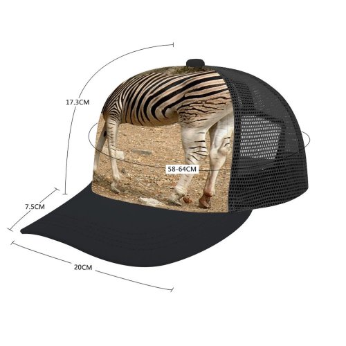 yanfind Adult Bend Rubber Baseball Hollow Out Zebra Stripes Terrestrial Vertebrate Wildlife Snout Organism Adaptation Beach,Tourism,Mountaineering,Sports, Parties,Cycling