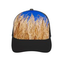 yanfind Adult Bend Rubber Baseball Hollow Out Field Corn Wheat Farm Crop Harvest Summer Sky Clouds Golden Cereal Barley Beach,Tourism,Mountaineering,Sports, Parties,Cycling
