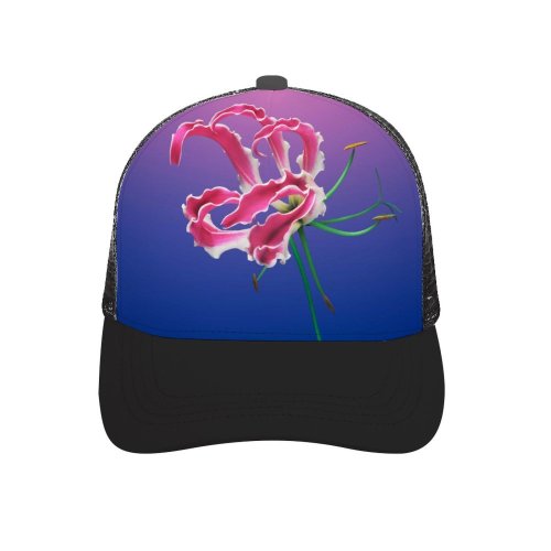 yanfind Adult Bend Rubber Baseball Hollow Out Gradient Mojave Stock Girly K Beach,Tourism,Mountaineering,Sports, Parties,Cycling