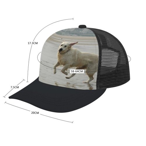 yanfind Adult Bend Rubber Baseball Hollow Out Golden Dog Pet Sea Vertebrate Canidae Carnivore Beach Sporting Cattle Beach,Tourism,Mountaineering,Sports, Parties,Cycling