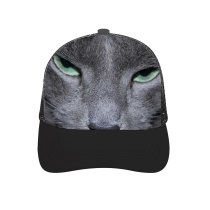 yanfind Adult Bend Rubber Baseball Hollow Out Cat Grey Pet Vertebrate Medium Sized Cats Felidae Whiskers Russian Korat Chartreux Beach,Tourism,Mountaineering,Sports, Parties,Cycling