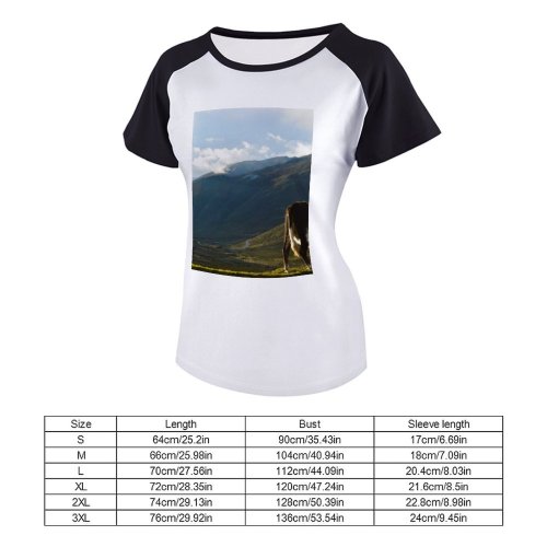 yanfind Women's Sleeve Raglan T Shirt Short Cattle Clouds Cloudy Countryside Cow Daylight Eating Field Grass Grassland Hike Hills
