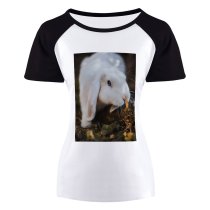 yanfind Women's Sleeve Raglan T Shirt Short Adorable Cute Little Rabbit Rodent Wildlife