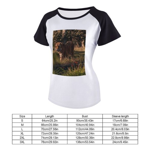 yanfind Women's Sleeve Raglan T Shirt Short Big Cat Carnivore Dangerous Felidae Grass Park Wild Wildlife