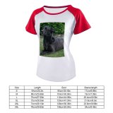 yanfind Women's Sleeve Raglan T Shirt Short Adorable Dog Cute Eyes Fur Grass Little Loyalty Pedigree Pet Portrait Puppy
