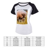 yanfind Women's Sleeve Raglan T Shirt Short Adorable Cute Depth Field Dog Focus Fur Furry Grass Pet Pup