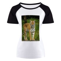 yanfind Women's Sleeve Raglan T Shirt Short Big Cat Fur Grass Jungle Wild Wildlife
