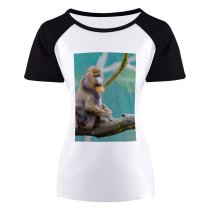 yanfind Women's Sleeve Raglan T Shirt Short Branch Cute Monkey Outdoors Primate Wildlife