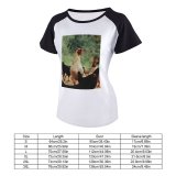 yanfind Women's Sleeve Raglan T Shirt Short Agriculture Chicken Daylight Farm Feathers Hen Outdoors Poultry Rooster