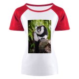 yanfind Women's Sleeve Raglan T Shirt Short Forest Fur Furry Glare Jungle Leaves Lemur Primate Ruffed Tree Bark Trunk