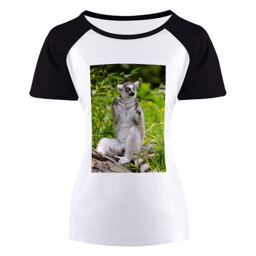 yanfind Women's Sleeve Raglan T Shirt Short Cute Fur Grass Leaves Lemur Outdoors Plants Primate Tree Wildlife Wood