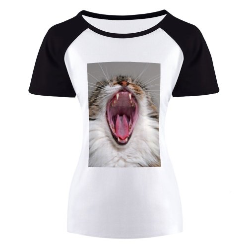 yanfind Women's Sleeve Raglan T Shirt Short Cat Focus Fur Mouth Nose Pet Teeth Tongue Whiskers Yawn