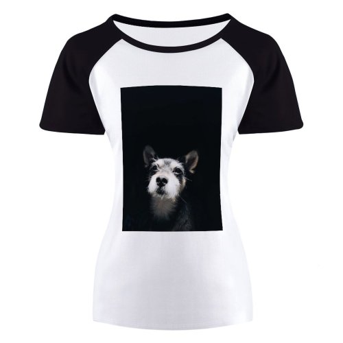 yanfind Women's Sleeve Raglan T Shirt Short Cute Dog Galaxy IPhone Pet Puppy