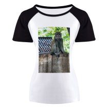 yanfind Women's Sleeve Raglan T Shirt Short Eyes Fur Monkey Outdoors Wild Wildlife
