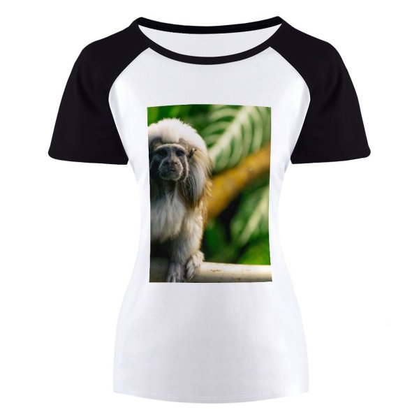 yanfind Women's Sleeve Raglan T Shirt Short Adorable Cotton Topped Tamarin Cute Daylight Face Fur Jungle Little