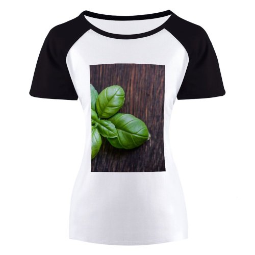 yanfind Women's Sleeve Raglan T Shirt Short Basil Herb Ingredient Leaf Natural Raw Rustic Spice Wooden