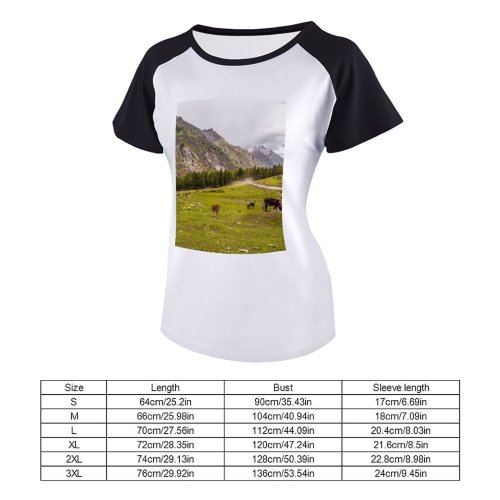 yanfind Women's Sleeve Raglan T Shirt Short Countryside Cow Gilgit Grass Grassland Landscape Outdoors Pakistan Rural